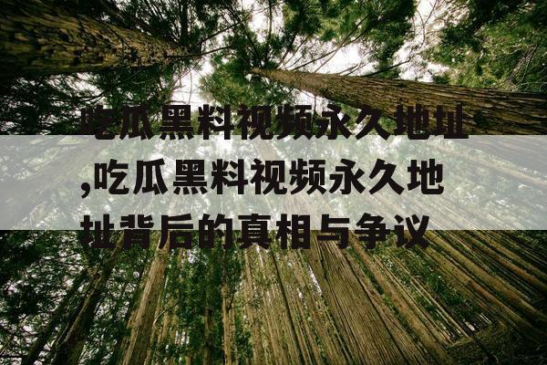 吃瓜黑料视频永久地址,吃瓜黑料视频永久地址背后的真相与争议
