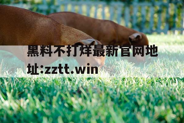 黑料不打烊最新官网地址:zztt.win