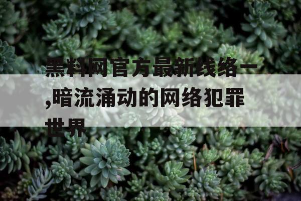 黑料网官方最新线络一,暗流涌动的网络犯罪世界