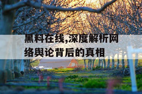 黑料在线,深度解析网络舆论背后的真相
