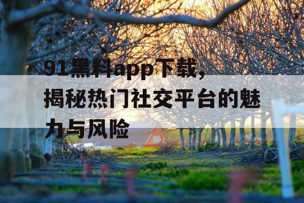 91黑料app下载,揭秘热门社交平台的魅力与风险
