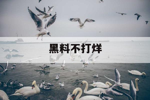 黑料不打烊