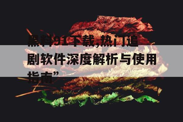 黑料91下载,热门追剧软件深度解析与使用指南”