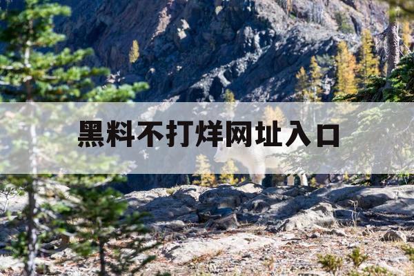 黑料不打烊网址入口