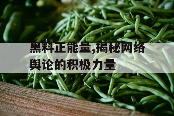 黑料正能量,揭秘网络舆论的积极力量