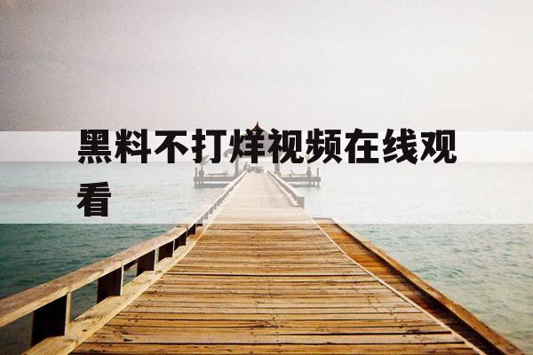 黑料不打烊视频在线观看