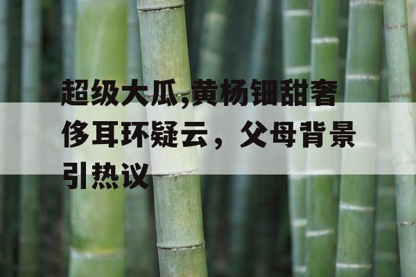 超级大瓜,黄杨钿甜奢侈耳环疑云，父母背景引热议