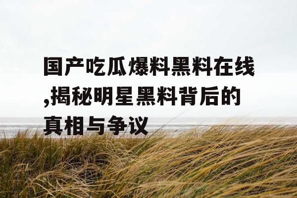 国产吃瓜爆料黑料在线,揭秘明星黑料背后的真相与争议