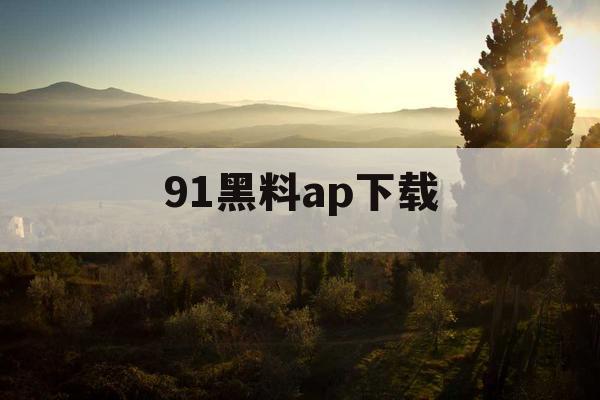 91黑料ap下载