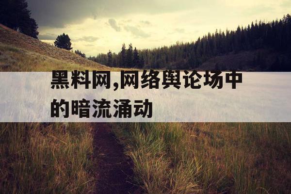 黑料网,网络舆论场中的暗流涌动