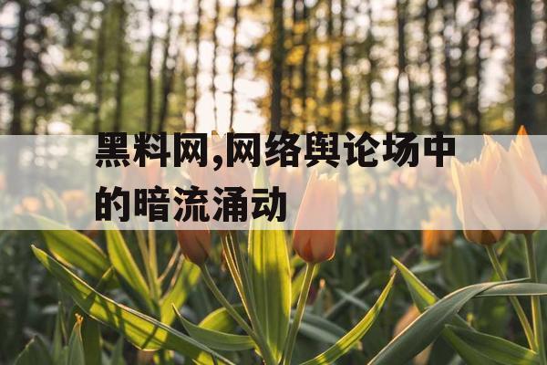 黑料网,网络舆论场中的暗流涌动