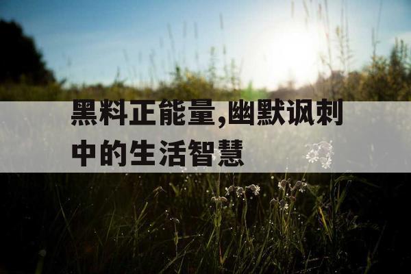 黑料正能量,幽默讽刺中的生活智慧