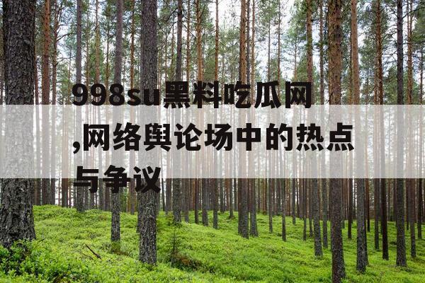 998su黑料吃瓜网,网络舆论场中的热点与争议