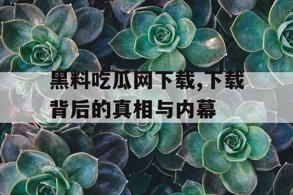 黑料吃瓜网下载,下载背后的真相与内幕