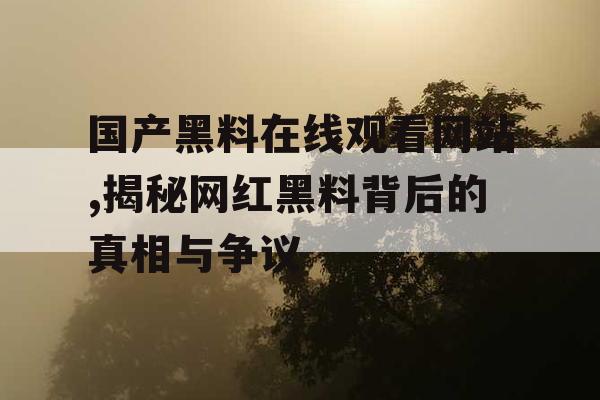 国产黑料在线观看网站,揭秘网红黑料背后的真相与争议
