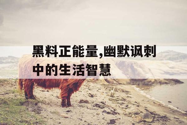 黑料正能量,幽默讽刺中的生活智慧