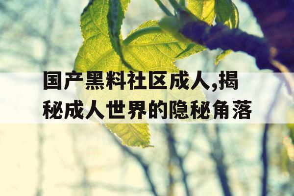 国产黑料社区成人,揭秘成人世界的隐秘角落