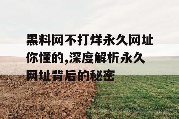 黑料网不打烊永久网址你懂的,深度解析永久网址背后的秘密