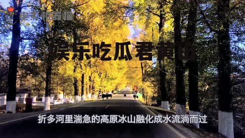 娱乐吃瓜君黄山