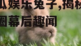 吃瓜娱乐兔子,揭秘娱乐圈幕后趣闻