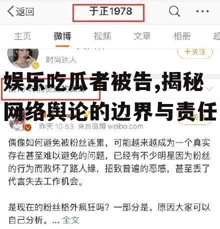 娱乐吃瓜者被告,揭秘网络舆论的边界与责任