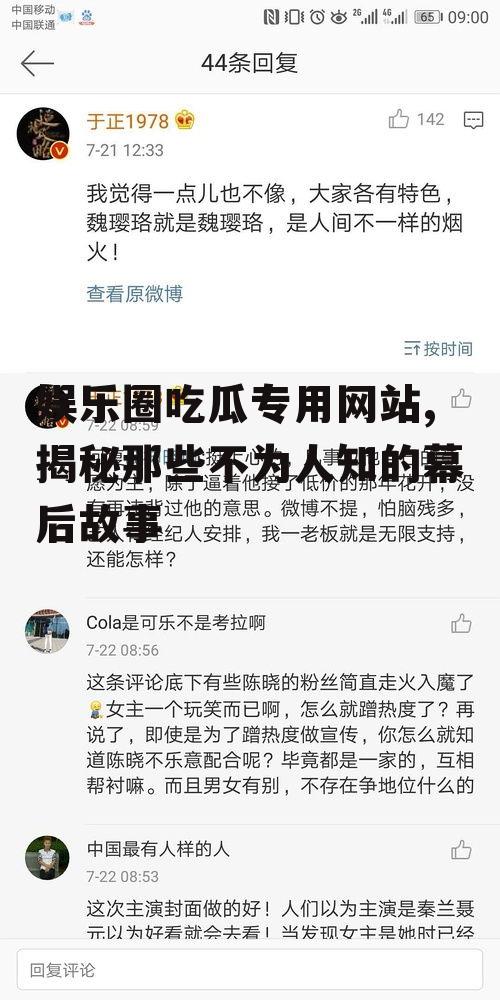 娱乐圈吃瓜专用网站,揭秘那些不为人知的幕后故事