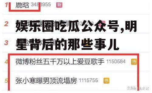 娱乐圈吃瓜公众号,明星背后的那些事儿