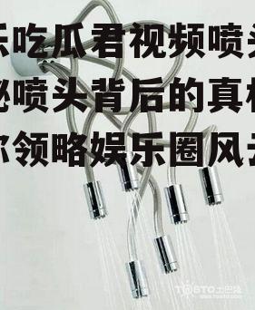 娱乐吃瓜君视频喷头,揭秘喷头背后的真相，带你领略娱乐圈风云变幻