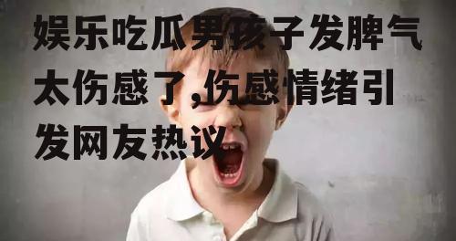 娱乐吃瓜男孩子发脾气太伤感了,伤感情绪引发网友热议