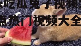 娱乐吃瓜兔子视频大全,盘点热门视频大全