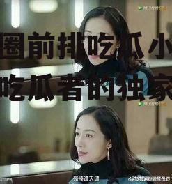 娱乐圈前排吃瓜小说,前排吃瓜者的独家揭秘