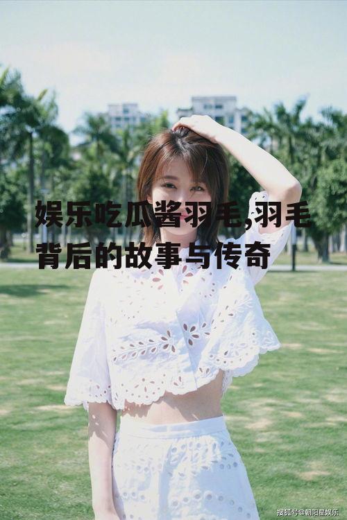 娱乐吃瓜酱羽毛,羽毛背后的故事与传奇