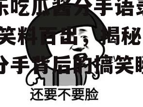 娱乐吃瓜酱分手语录搞笑,笑料百出，揭秘明星分手背后的搞笑瞬间