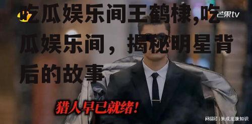 吃瓜娱乐间王鹤棣,吃瓜娱乐间，揭秘明星背后的故事