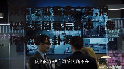 娱乐吃瓜蜀黍广告,揭秘娱乐圈幕后故事，带你畅游八卦海洋