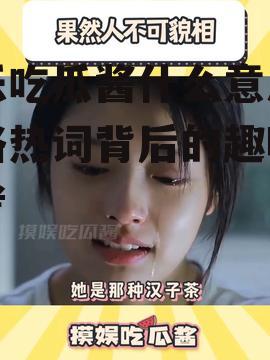 娱乐吃瓜酱什么意思,网络热词背后的趣味与思考