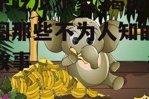 娱乐吃瓜小象,揭秘娱乐圈那些不为人知的幕后故事