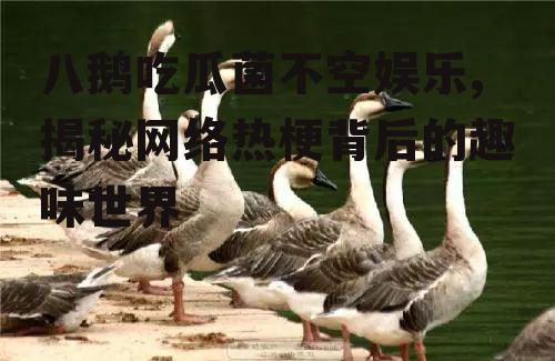 八鹅吃瓜菌不空娱乐,揭秘网络热梗背后的趣味世界