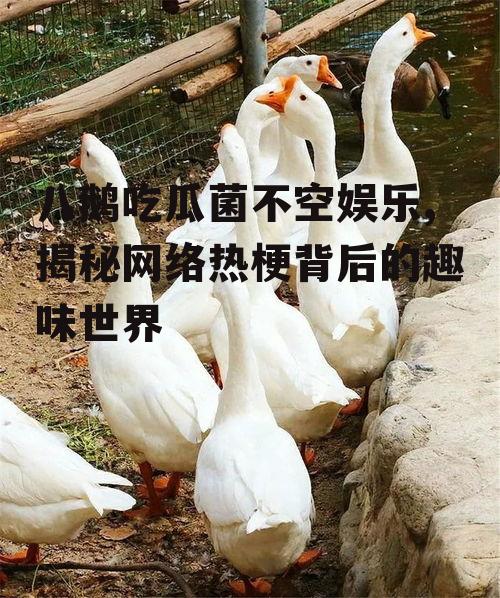八鹅吃瓜菌不空娱乐,揭秘网络热梗背后的趣味世界