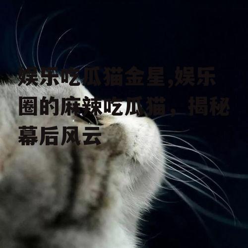 娱乐吃瓜猫金星,娱乐圈的麻辣吃瓜猫，揭秘幕后风云