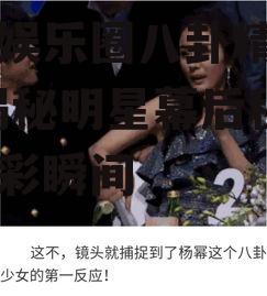 吃瓜娱乐圈八卦精彩片段,揭秘明星幕后秘闻与精彩瞬间