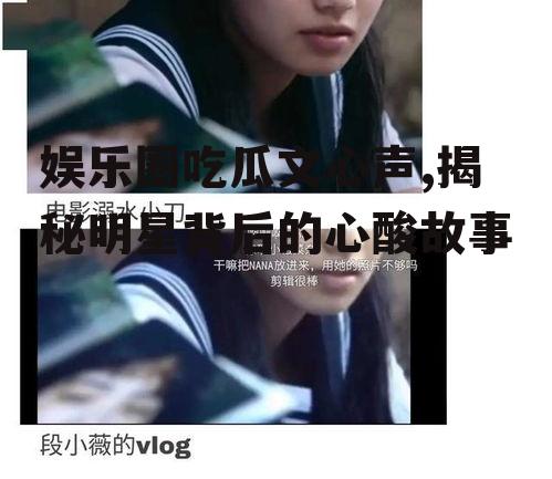 娱乐圈吃瓜文心声,揭秘明星背后的心酸故事