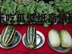 娱乐吃瓜壁纸高清图片