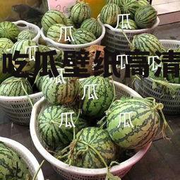 娱乐吃瓜壁纸高清图片