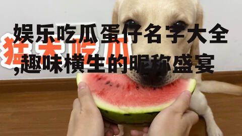 娱乐吃瓜蛋仔名字大全,趣味横生的昵称盛宴