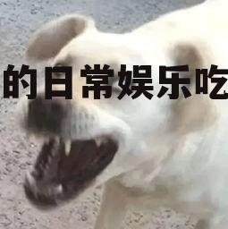 傻狗的日常娱乐吃瓜君