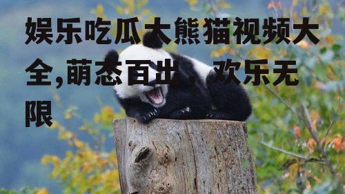 娱乐吃瓜大熊猫视频大全,萌态百出，欢乐无限