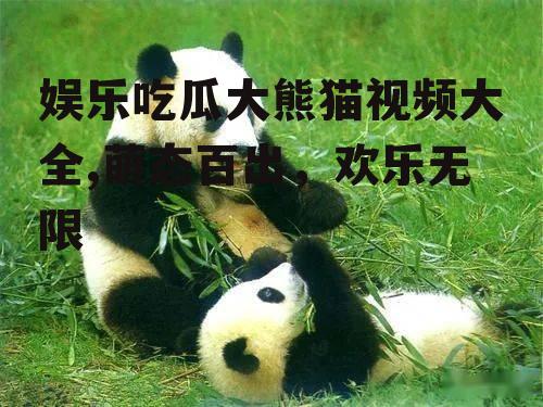 娱乐吃瓜大熊猫视频大全,萌态百出，欢乐无限