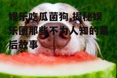 娱乐吃瓜菌狗,揭秘娱乐圈那些不为人知的幕后故事