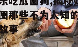 娱乐吃瓜菌狗,揭秘娱乐圈那些不为人知的幕后故事